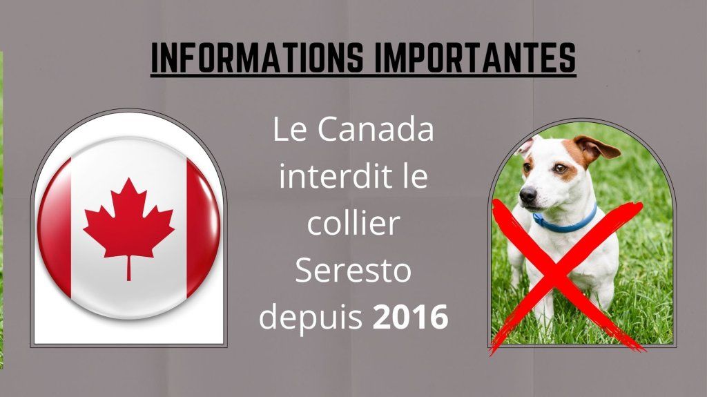 Le Canada interdit le collier Seresto