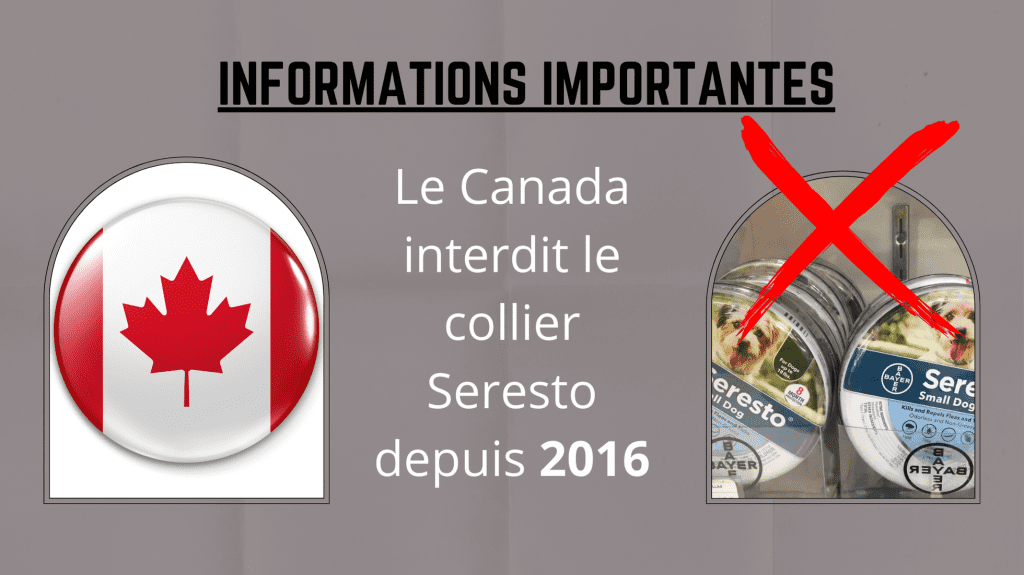 Le Canada interdit le collier Seresto