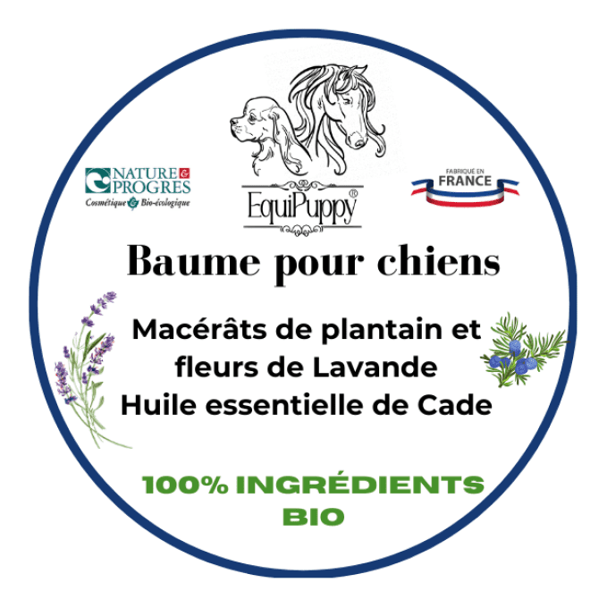 Baume biologique anti démangeaisons chien