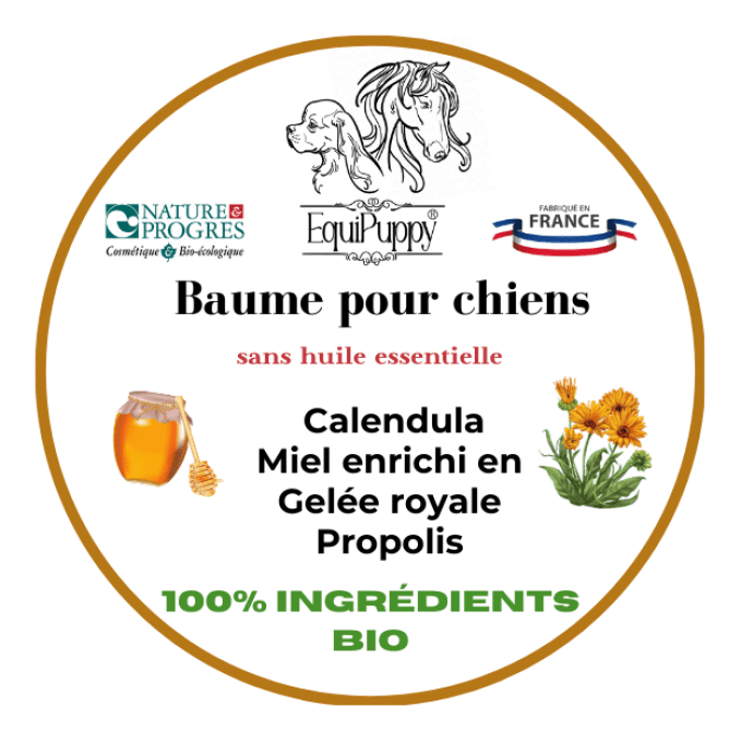 Baume  biologique miel et calendula pour chien