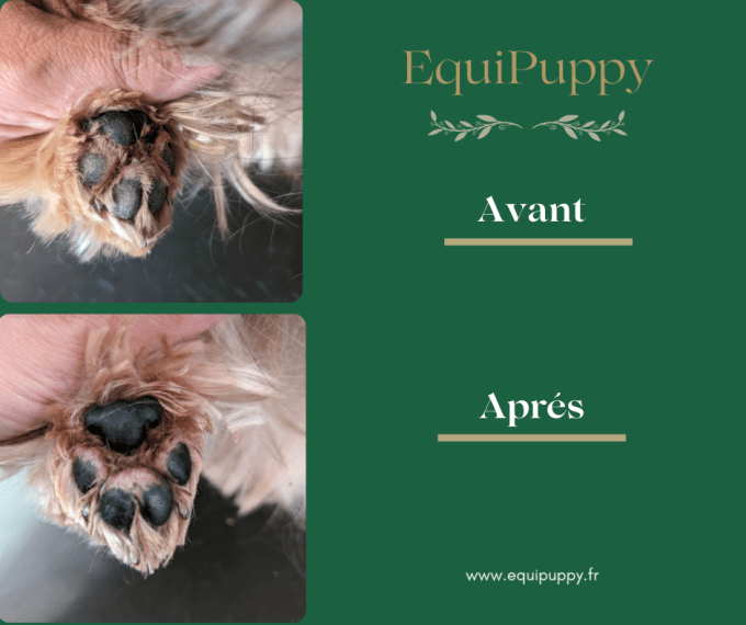 baume naturel et biologique chien EquiPuppy