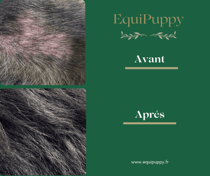 Baume biologique chien EquiPuppy